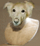 Demosthenes9's Avatar