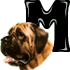 MastiffMom's Avatar