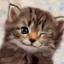 murphycat5's Avatar