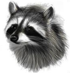 RivalDestiny's Avatar