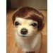 DesertCoyote's Avatar