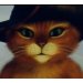 Catsanova's Avatar