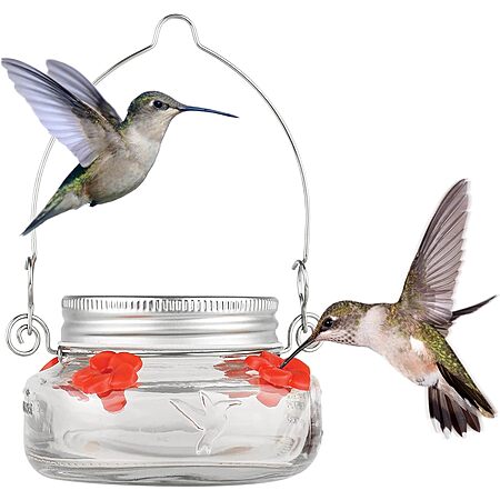 $4.79: Nature's Way Mason Jar Hummingbird Dish Feeder at Amazon