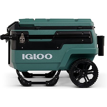 20% Off Igloo 70-Qt Cooler!