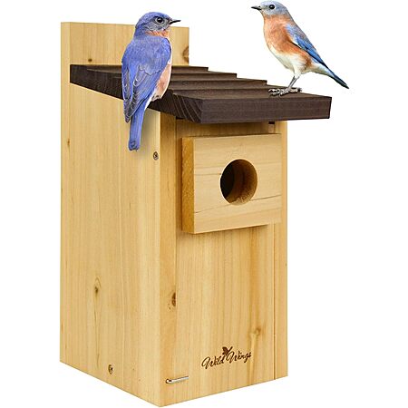 47% Off Wild Wings Cedar Blue Bird Box House!