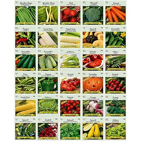 [SnS] $8.54* | 30-Pack Deluxe Valley Greene Heirloom Non-GMO Vegetable Garden Seeds at Amazon