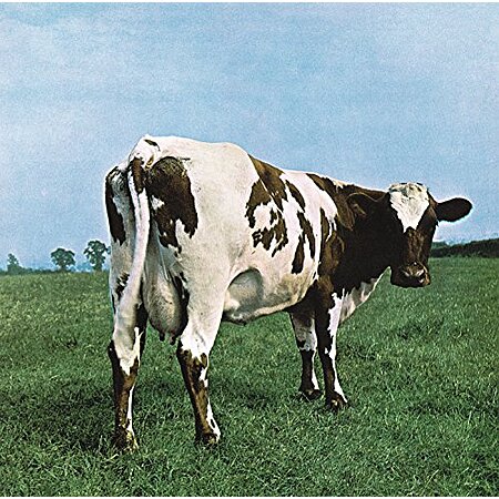 $21.59 | Pink Floyd: Atom Heart Mother (Vinyl) at Amazon