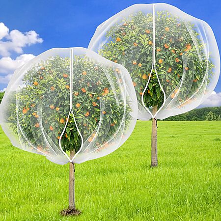 2-Pc 7.8' x 7.8' ZYP Fruit Tree Netting Covers w/ Zipper and Drawstring