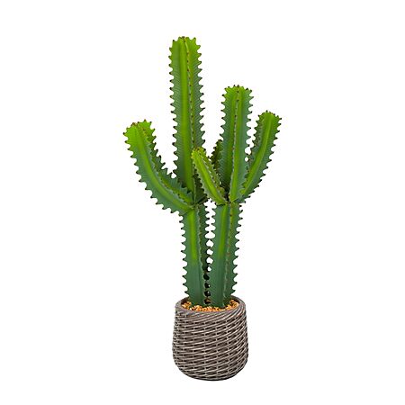Amazon - 3-ft Artificial Cactus Plant in Brown Pot - $39.99 w/ Code