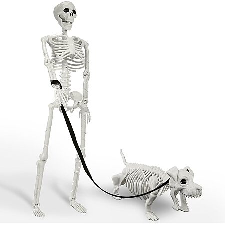 Amazon – Lighted Human & Dog Skeleton Halloween Decor - $25.19 w/ Code