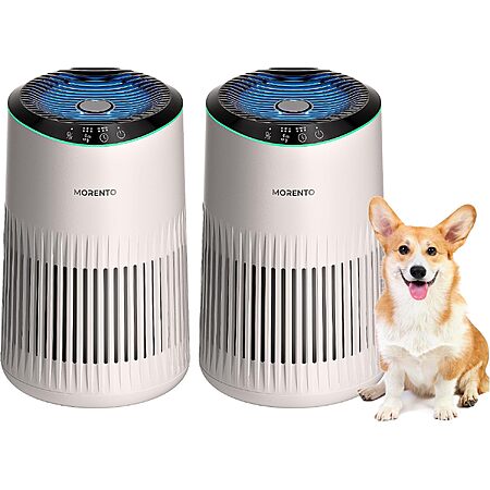 Air Purifiers for Bedroom Home for Smoke Pet Dander Odors 2 Pack Cream