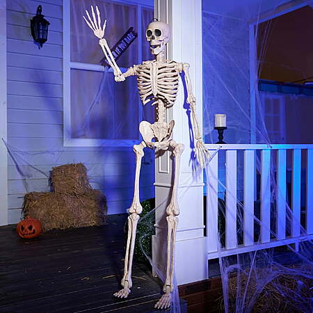 $43 FS Walmart by Joyin Joyfy 5 FT Halloween Skeleton, Full Body Movable Joints, Giant Skeletons for Halloween