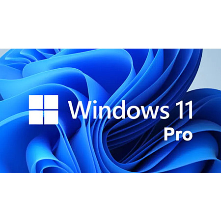 Microsoft Windows 11 Pro: Lifetime License - $11.99