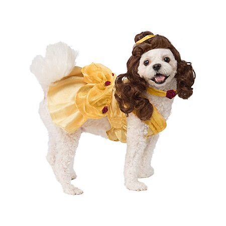 Rubies Disney Princesses: Belle Pet Costume for Dogs or Cats, Medium $13.34 (AC)