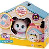 Little Live Pets My Kitty's Home Interactive Plush Toy Kitten &amp;amp; House $12.72 + Free S&amp;amp;H w/ Prime, Walmart+ or $35+