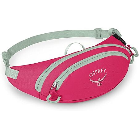 Osprey Daylite Mini Waist Pack / Crossbody Bag (Hotspot Pink) $15