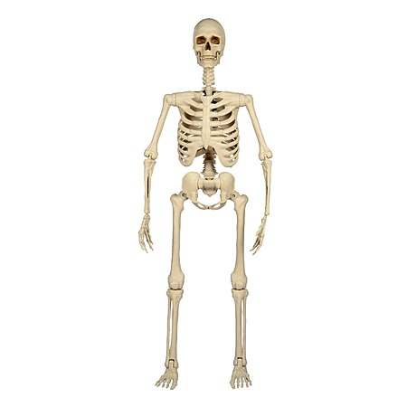 Haunted Living 5' Ultra Posable LED Skeleton Halloween Decoration $24.99 + Free Store Pickup at Lowe's or Free Shipping on $35+