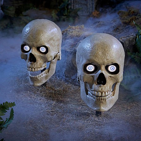 Home Accents Holiday LED Grave & Bones Skelly Skull, $24.98, FS Shipping/Pickup, Home Depot