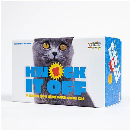 Spin Master Cat Game for $4.23!