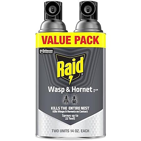 2-Pack 14-Oz Raid Wasp & Hornet Killer Spray $6.06 w/ S&S + Free Shipping w/ Prime or on orders over $35