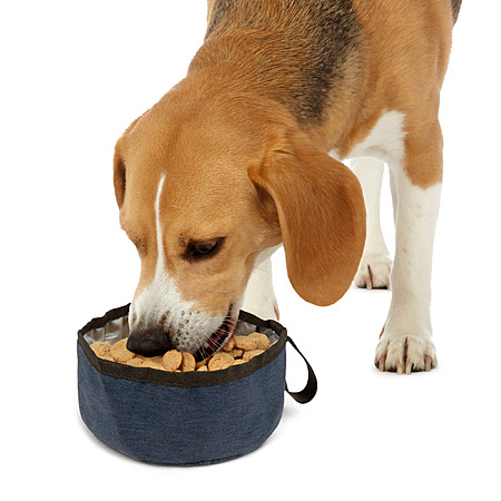 TrustyPup 4-Cup Collapsible Pet Travel Bowl (Denim) $1.76 + Free Shipping w/ Walmart+ or on $35+