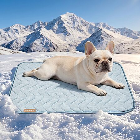 PPOLCA Waterproof Cooling Mat for Small Dogs 18x24, Blue