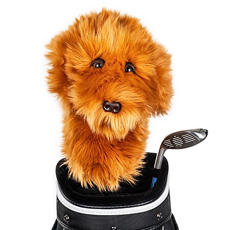 Daphne's Golf Headcovers Driver Headcover - Doodle $17.23 + Free Shipping w/ Prime or on $35+