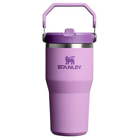 20-oz STANLEY IceFlow 2.0 Flip Straw Tumbler w/ Handle (Lilac) $15