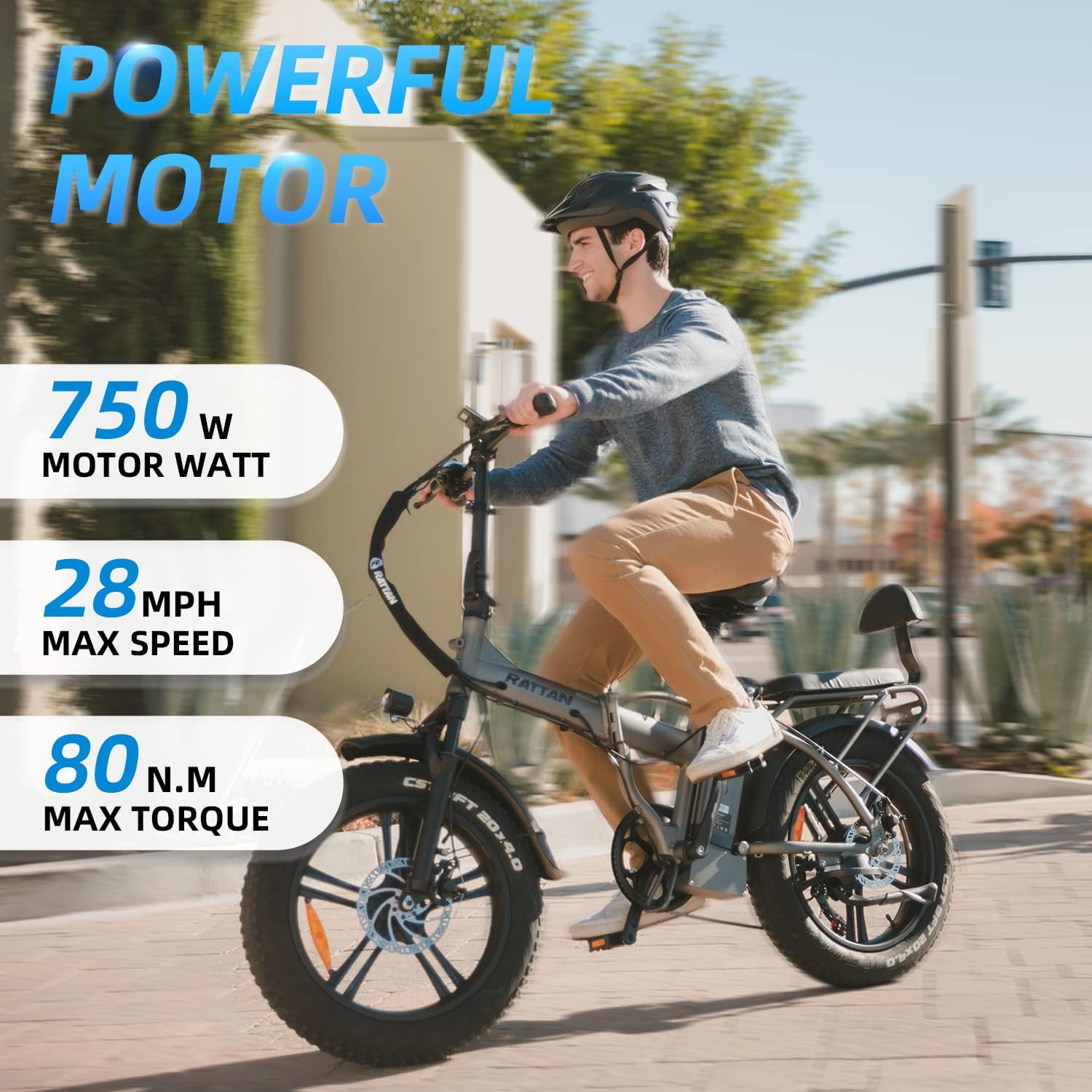 RATTAN 750W Electric Bike for Adults 48V 13AH Removable Battery Foldable Electric Bikes LM LF Pro Ebike 20 x 4.0 Fat Tire Electric Bicycles 2 Seater 411.05