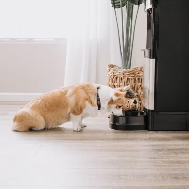Deluxe top loading water dispenser with pet station store