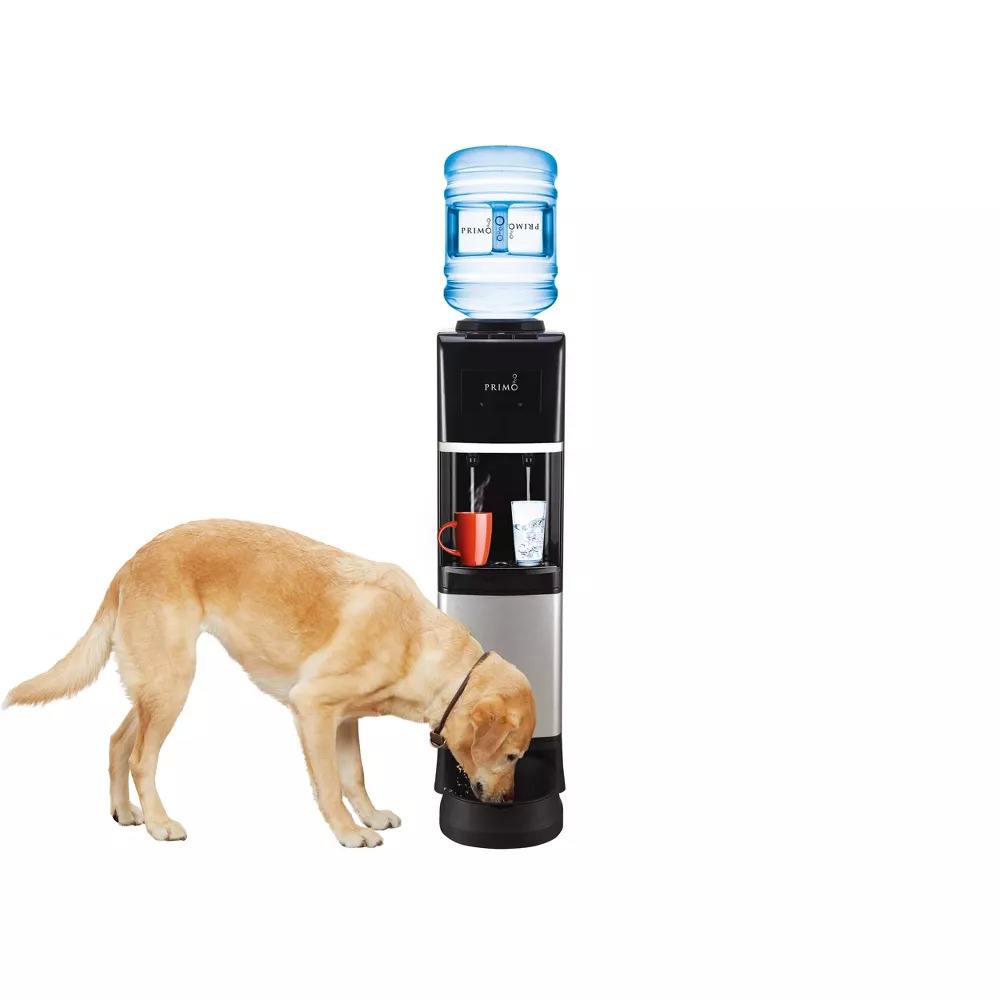 Primo Deluxe Top Loading Water Dispenser w Pet Station Stainless Steel 100 Free Shipping