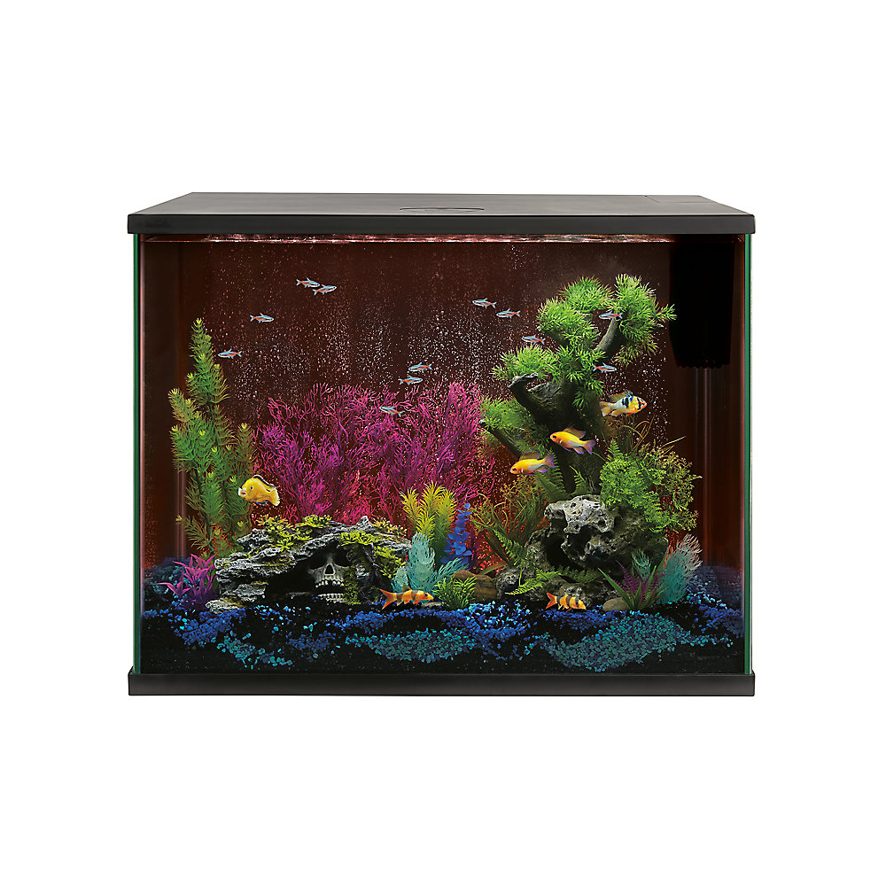 Top Fin LED 37 gallon Bubble Wall Aquarium Kit fish Aquariums PetSmart 83.37