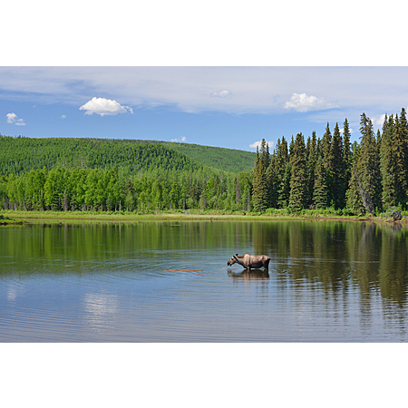 RT Flights to Alaska for $299!