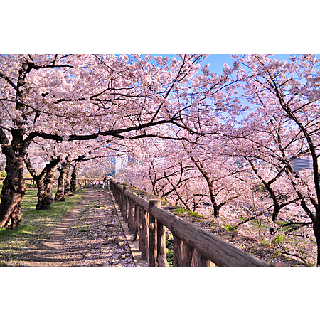 RT Flights LAX to Osaka for $644!