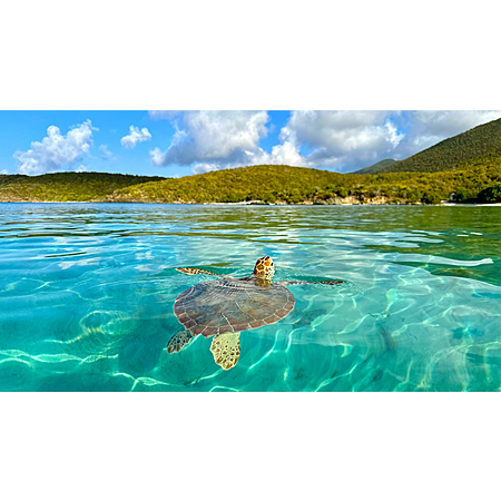 Round Trip Non-Stop Flight: New York to/from St Maarten Caribbean from $291 (Ltd Travel Sep.-Nov. 2026)