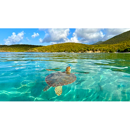 Round Trip New York to St Maarten $260 Nonstop Airfares on Delta or JetBlue BE (Travel November - February 2027)