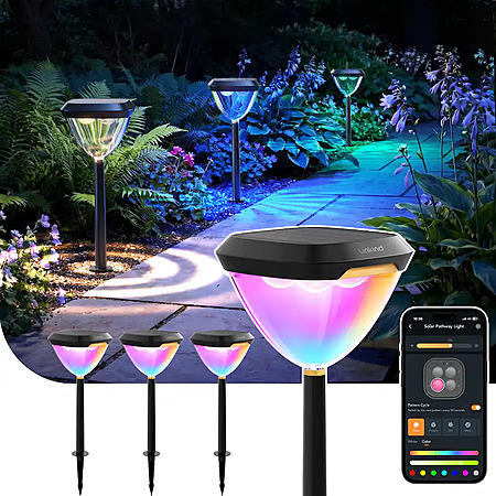 Linkind - Smart Solar Pathway Lights Outdoor, APP Control, Solar & Wired Charging, Color Changing, 4 Pack - Black $74.99 Bestbuy.com