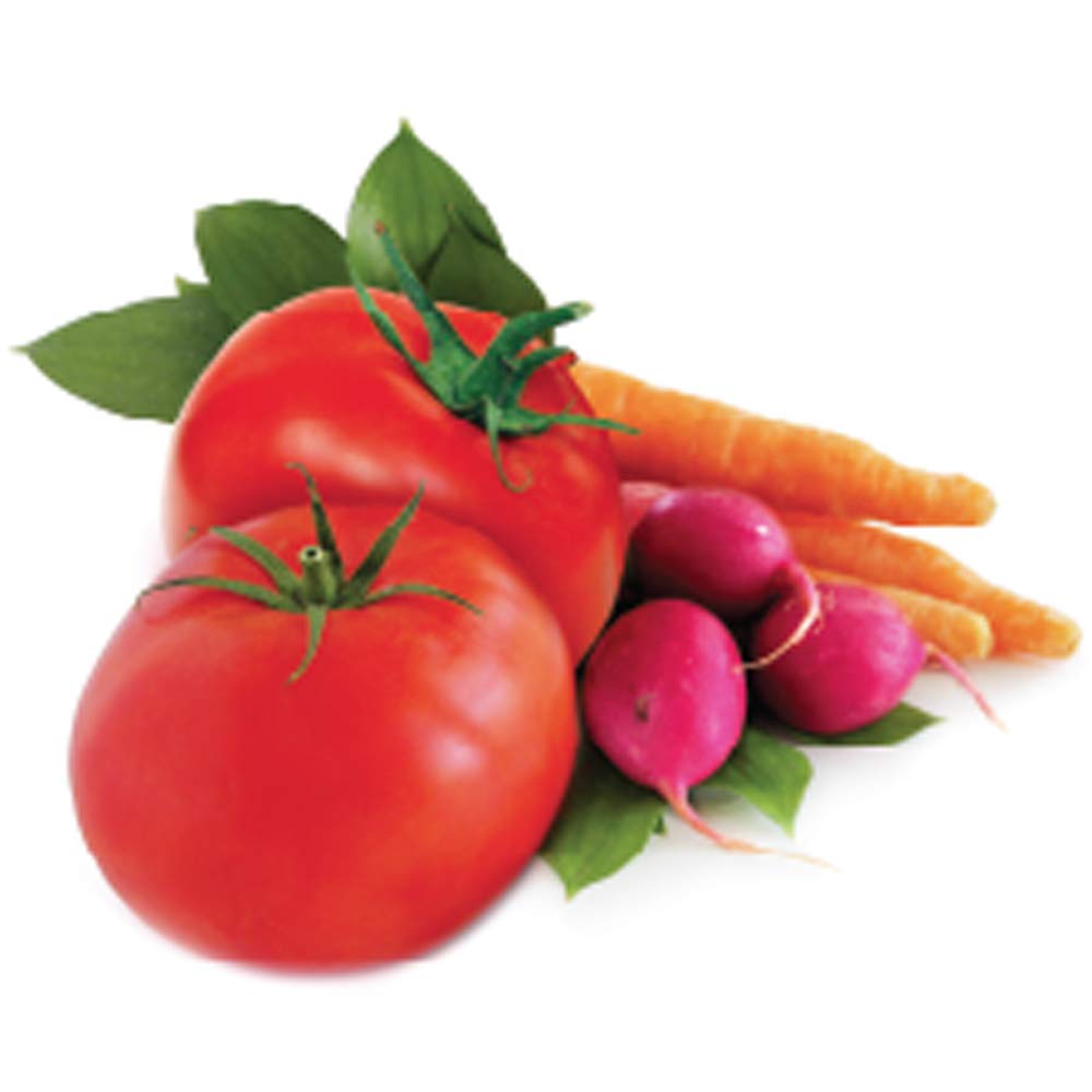 Jobe's Organics Vegetable & Tomato Fertilizer Spikes, 50 Spikes amazon s&s $3.2