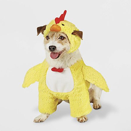 Deal Image