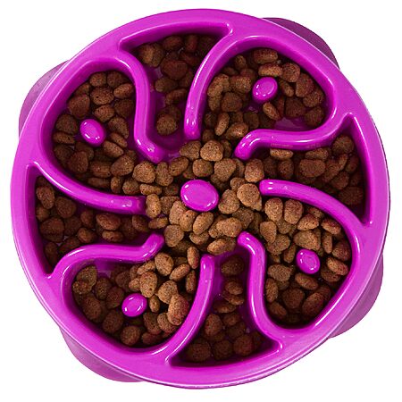 Outward Hound Fun Feeder Dog Bowl (Medium, Purple) $3.54 + Free Shipping w/ Prime or on $35+