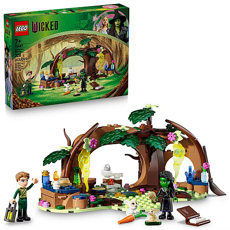 228-Piece LEGO Wicked Elphaba's Retreat $13.49 + Free Shipping