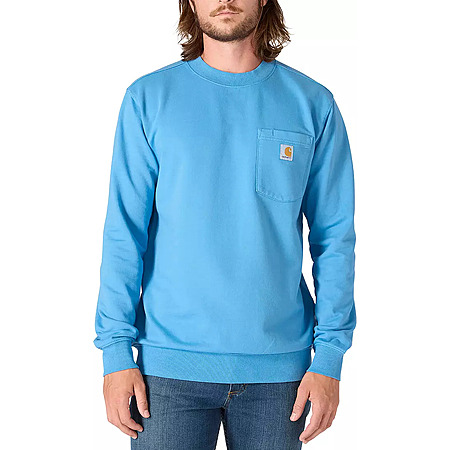 Carhartt Men's Garment Dye Hoodie or Sweatshirt (Horizon Blue) from