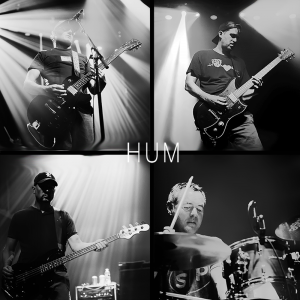 Hum - Inlet 180-Gram Black $35