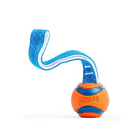 ChuckIt! Small Ultra Tug Dog Toy $4.64 + Free Shipping w/ Prime or on $35+