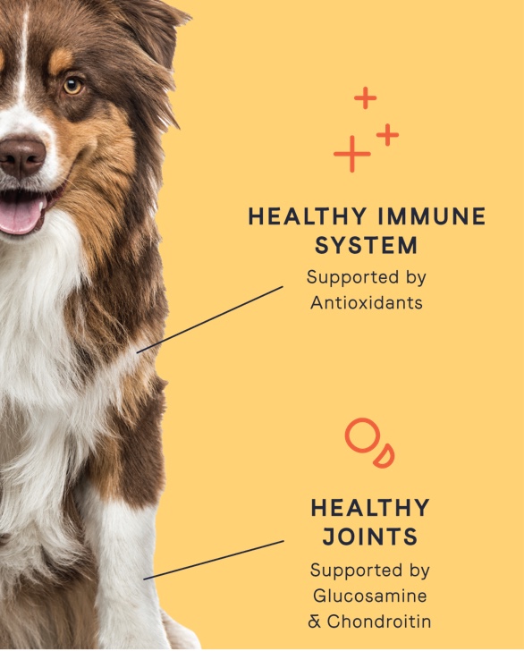 Canidae manufacturer coupon store