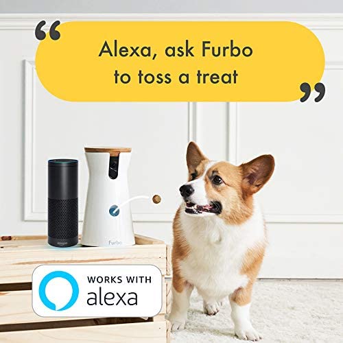 Free Furbo Dog Camera for Medical Workers