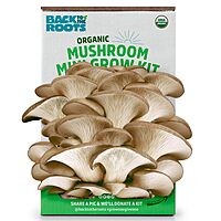 Back to the Roots Organic Mini Oyster Mushroom Grow Kit
