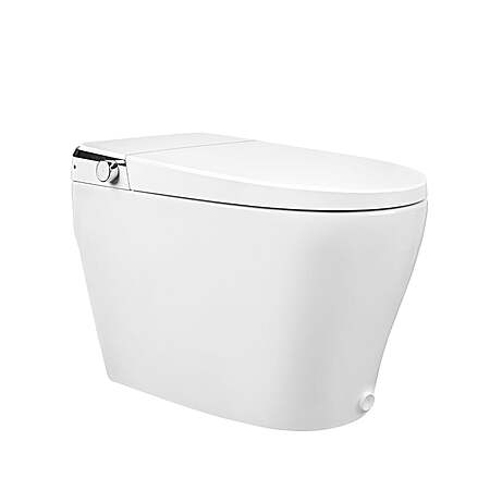 51% Off Smart Toilet at DeerValley!