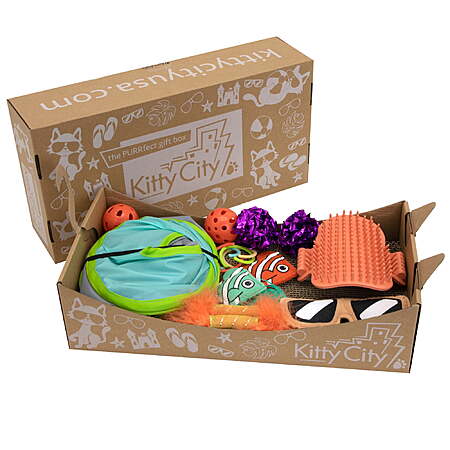 Slickdeals.net Features Discount on Kitty City Deluxe Cat Toy Set