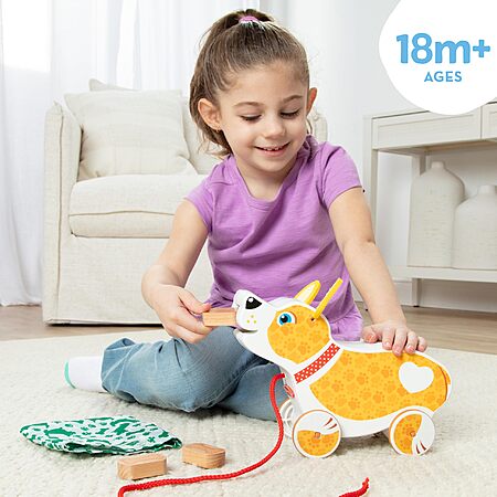 [Prime]$7.49: Melissa & Doug Walk & Poo Pup Pull Toy – Wooden Preschool Toy Ages 3+ at Amazon